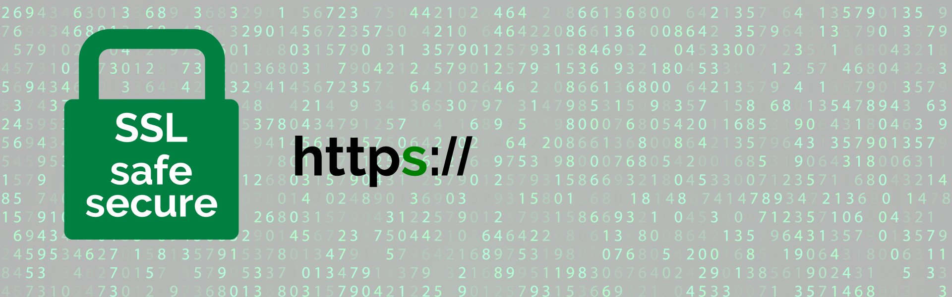 SSL Certificates Halifax - Screenlevel Web Solutions - SSL, https, Secure, Ecommerce, Website Payment Processing, WordPress Repairs & Improvements